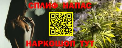 стаф Таганрог